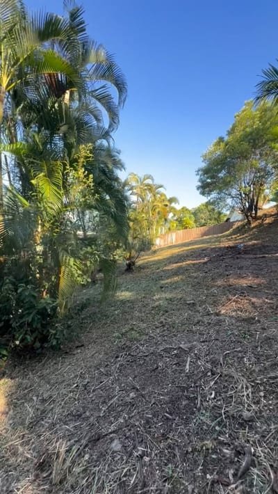 Overgrown yard mid clean-up with green waste piled for removal and cleared lawn behind